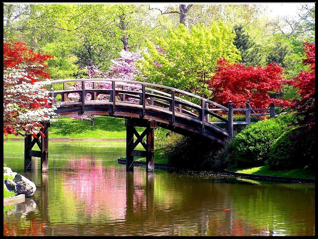 Bridge pond boat trees red free wallpaper - medium preview image