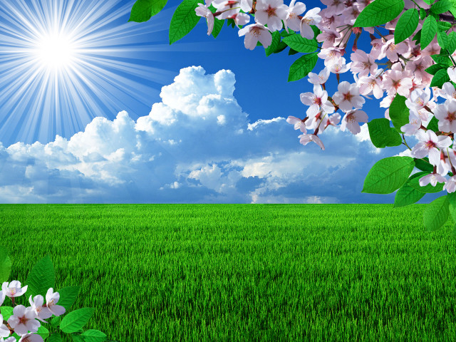 Field flowers blue sky clouds #2 free wallpaper - medium preview image