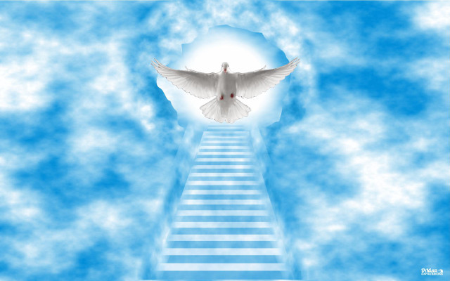 White dove stairway light sky free wallpaper for desktop - medium preview image