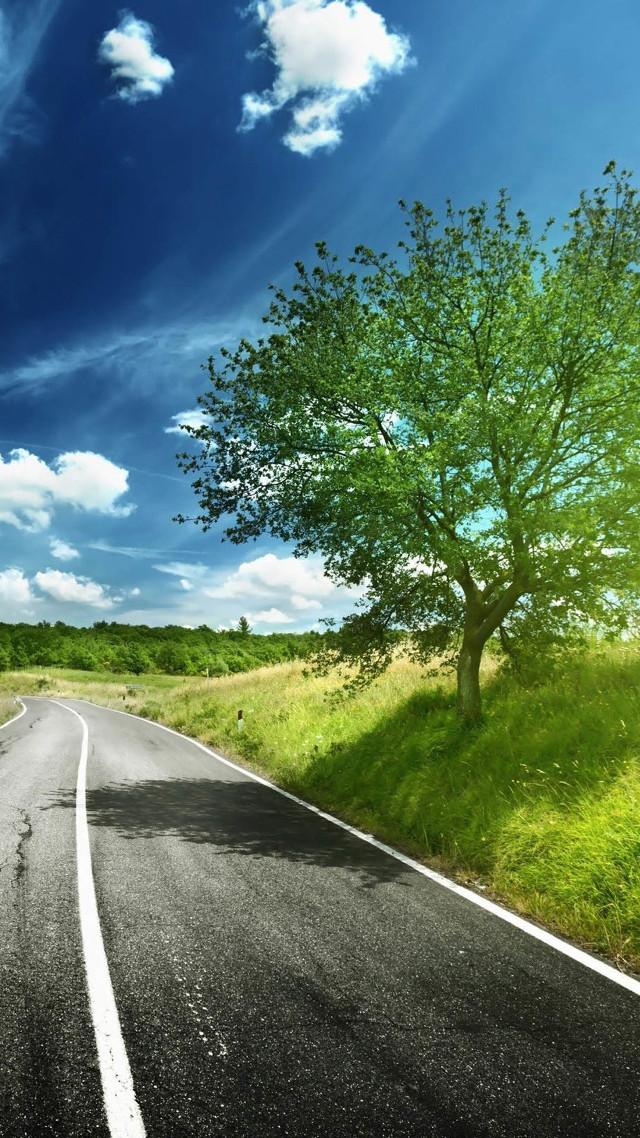 Road tree blue sky clouds free wallpaper - medium preview image