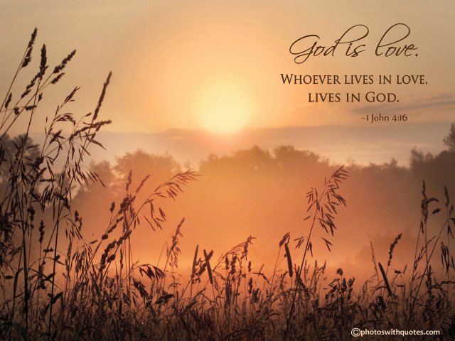 Sunset quote dusk forest mountain free wallpaper - medium preview image