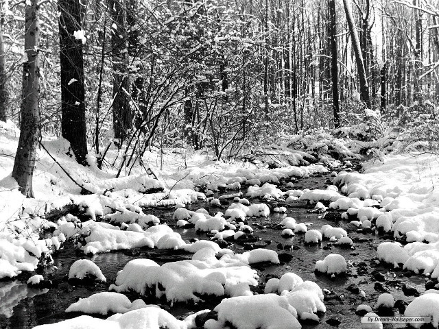 Snowy stream forest rocks trees #2 free wallpaper - medium preview image