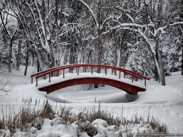 Red bridge snowy park pond free wallpaper - medium preview image