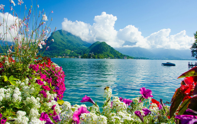 Boat lake flowers mountain blue free wallpaper - medium preview image