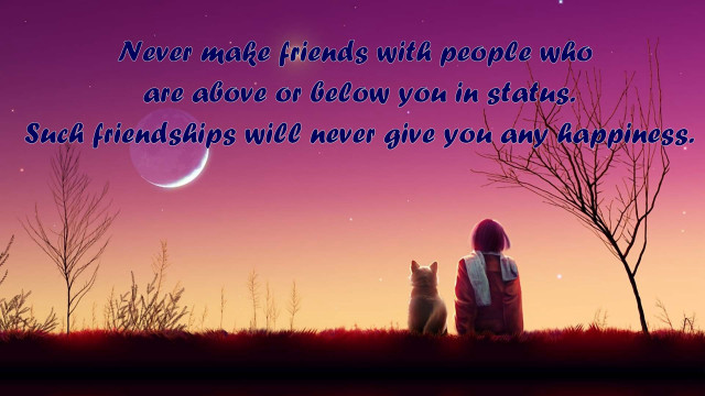 Person bench dog night sky free wallpaper - medium preview image