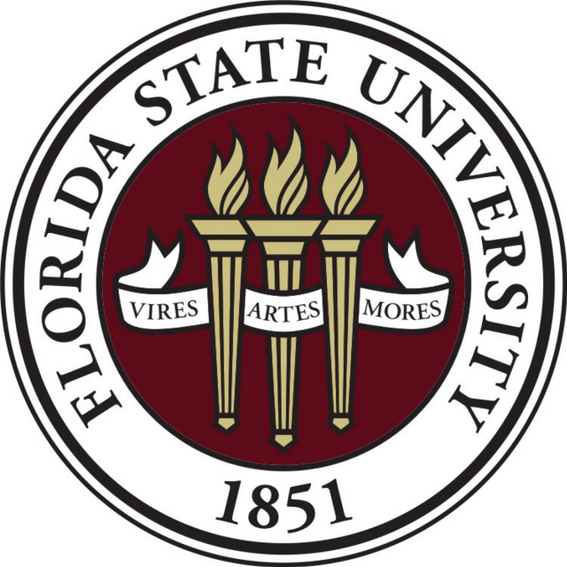Florida state university seal flames free wallpaper - medium preview image