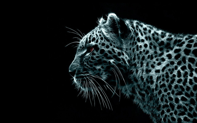 Leopard face black white red #3 free wallpaper - medium preview image