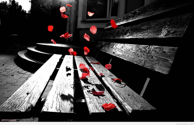 Wooden bench red flowers light free wallpaper - medium preview image