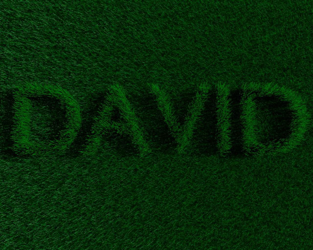 Green grass field david written free wallpaper - medium preview image