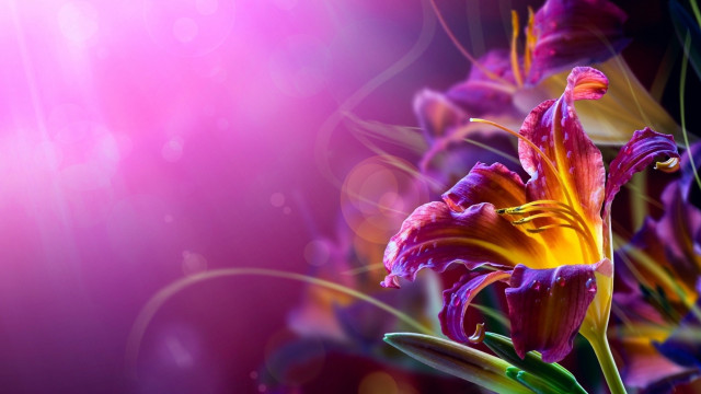 Flower magic realism airbrush bokeh free wallpaper - medium preview image