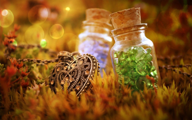 Jars plants grass chain link free wallpaper - medium preview image