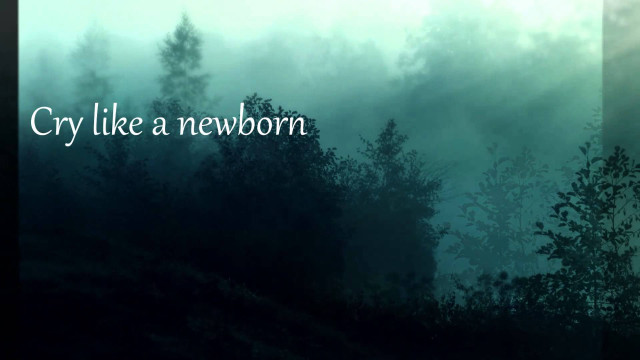 Forest quote cry newborn foggy free wallpaper - medium preview image