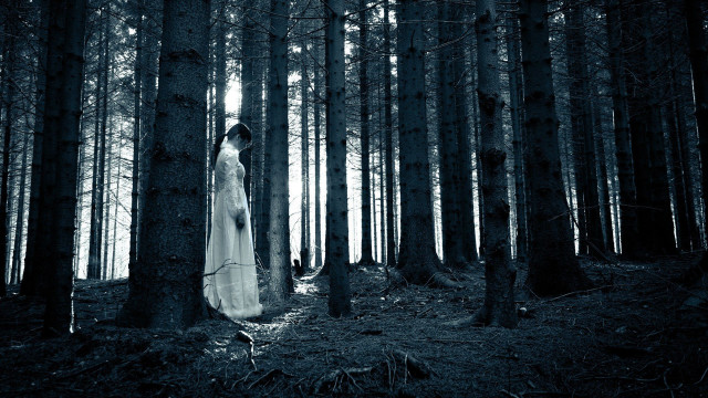 Woman white dress forest trees #5 free wallpaper - medium preview image