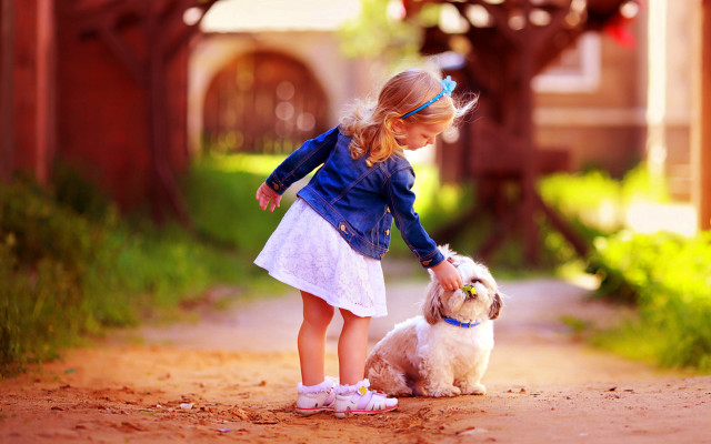 Girl petting dog bridge autumn free wallpaper - medium preview image