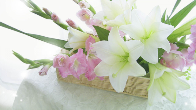 Basket flowers table white background free wallpaper - medium preview image