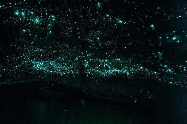 Dark room green lights ceiling free wallpaper - medium preview image