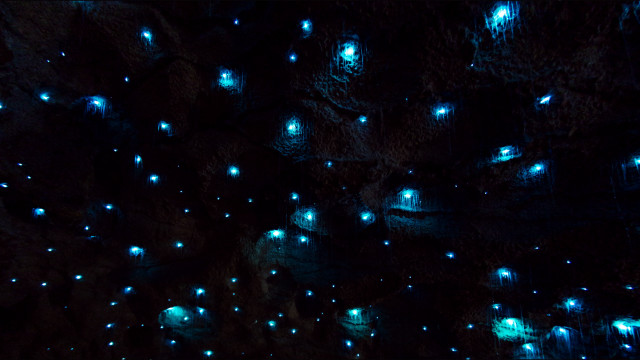 Dark cave blue lights bench free wallpaper - medium preview image