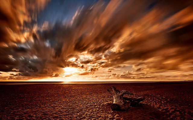 Tree stump beach sunset cloudy free wallpaper - medium preview image