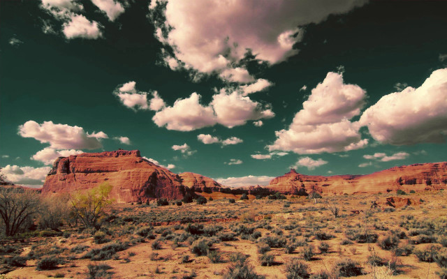 Desert clouds bushes foreground scenery free wallpaper - medium preview image