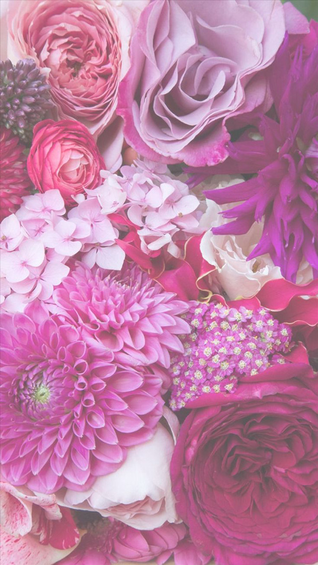 Close up pink red flowers free wallpaper - medium preview image