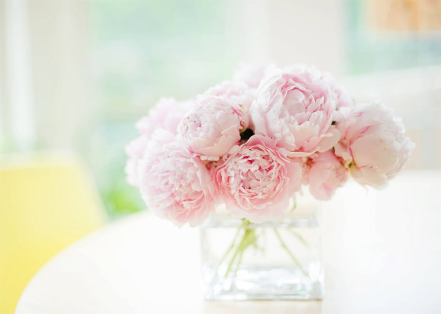 Vase pink flowers table yellow free wallpaper - medium preview image