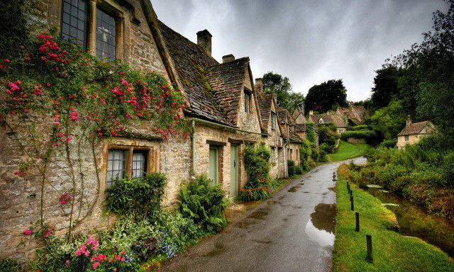 Street houses flowers growing wet free wallpaper - medium preview image