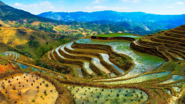 Rice field mountain river landscape free wallpaper - medium preview image