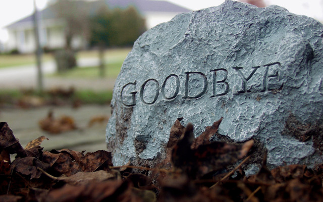Goodbye rock park leaves grass free wallpaper - medium preview image