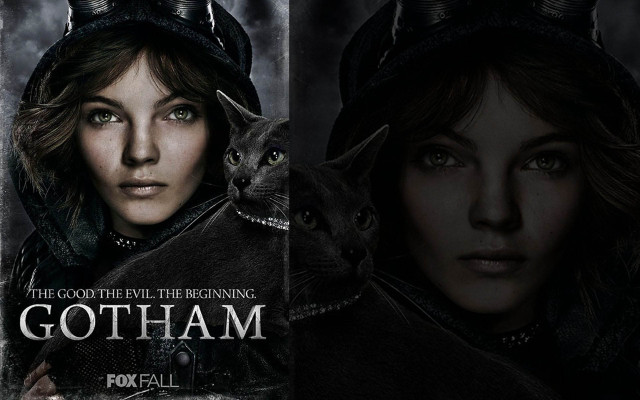 Woman cat helmet poster international free wallpaper - medium preview image
