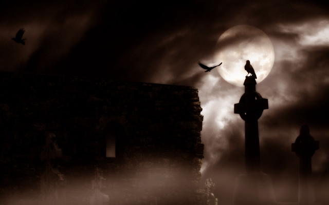 Bird flying cemetery full moon free wallpaper - medium preview image