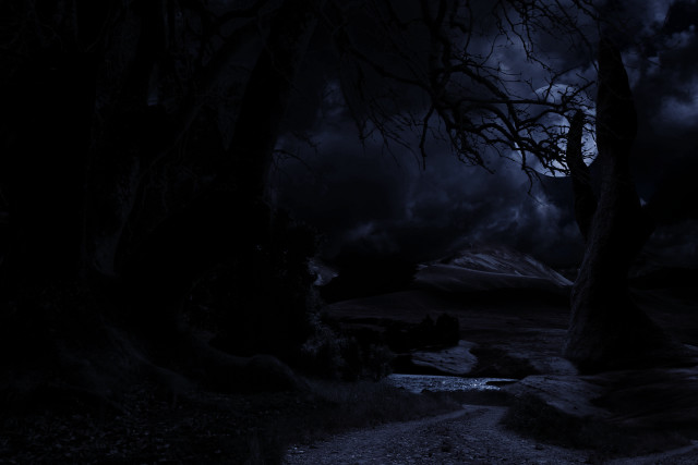 Dark forest path lake night free wallpaper - medium preview image