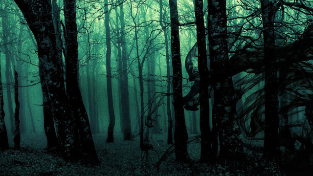 Dark forest trees leaves snake free wallpaper - medium preview image