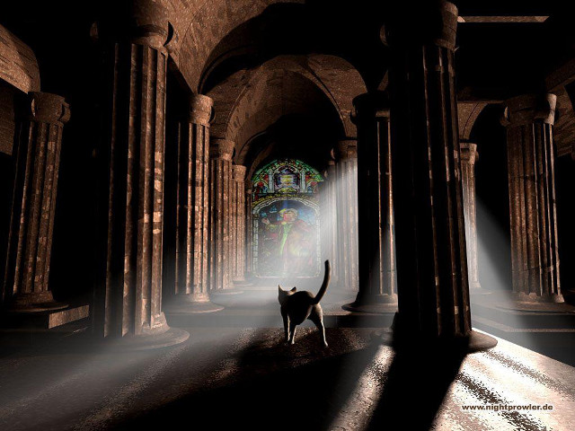 Cat walking dark tunnel columns free wallpaper - medium preview image