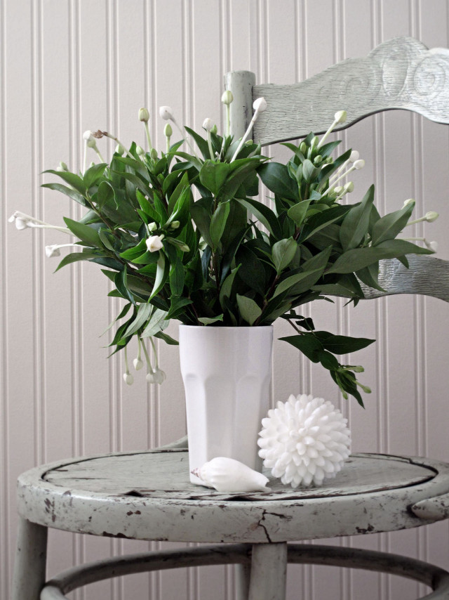 White vase flowers table chair free wallpaper - medium preview image