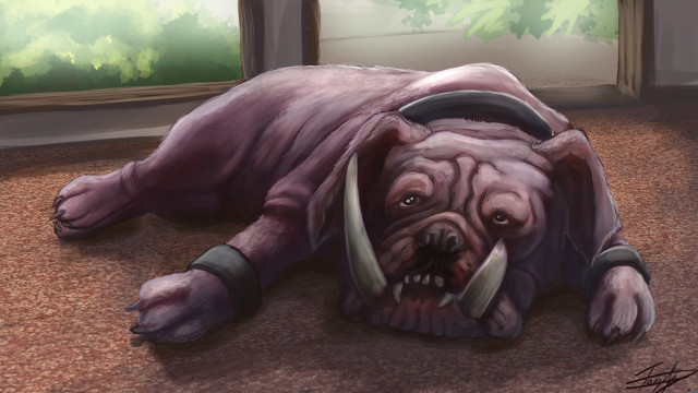 Dog laying floor head collar free wallpaper - medium preview image