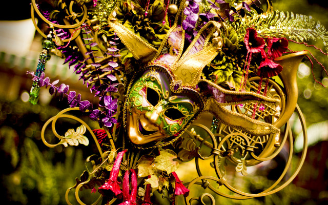 Mask flowers leaves hanging grass free wallpaper - medium preview image