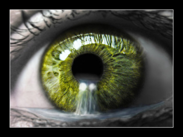 Green eye water iris black free wallpaper - medium preview image