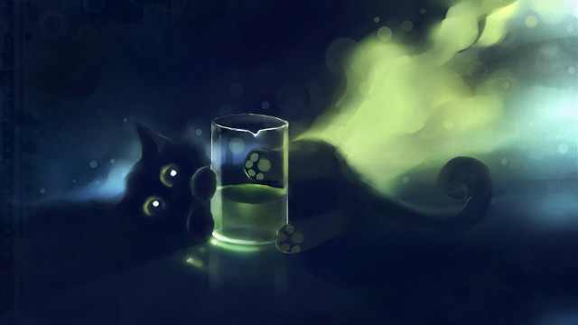 Glass cat table paw next free wallpaper - medium preview image