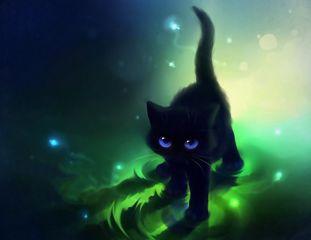 Black cat glowing eyes grass free wallpaper - medium preview image