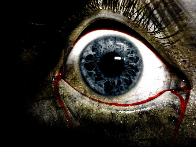 Close up eye blood drip free wallpaper - medium preview image