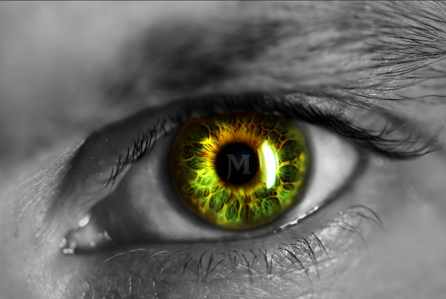 Green eyeball macro surrealism realistic free wallpaper - medium preview image