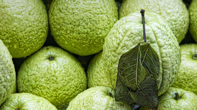 Green fruit pile leaf top free wallpaper - medium preview image