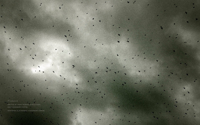 Flock birds flying cloudy sky free wallpaper - medium preview image