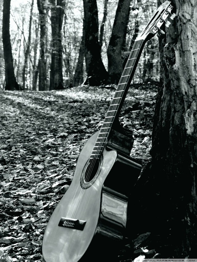 Guitar leaning tree forest black free wallpaper - medium preview image