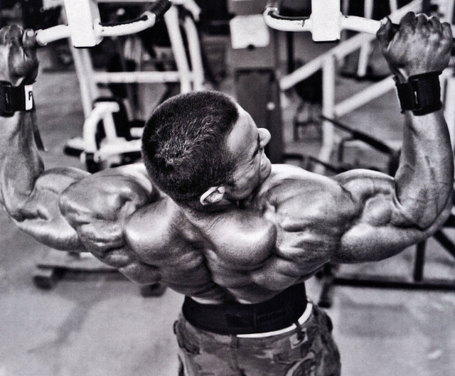 Man large back big chest free wallpaper - medium preview image