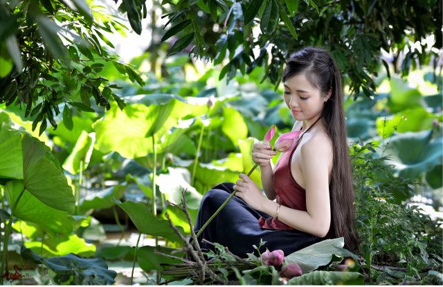Woman forest lotus flower jewelry free wallpaper - medium preview image
