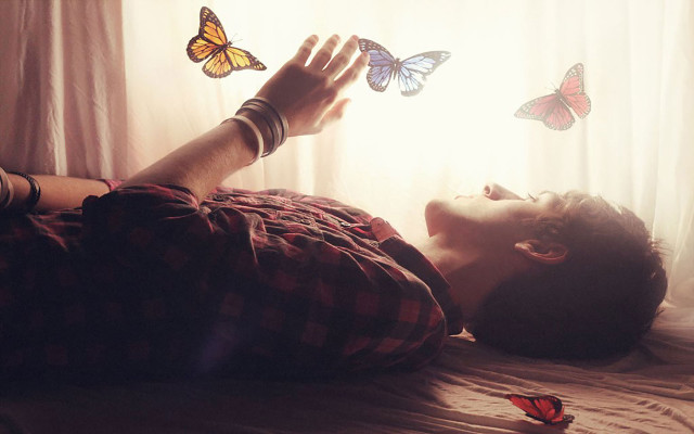 Man bed butterfly flying around free wallpaper - medium preview image