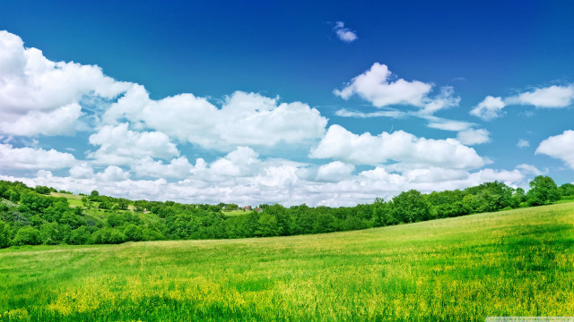 Blue sky clouds green field free wallpaper - medium preview image