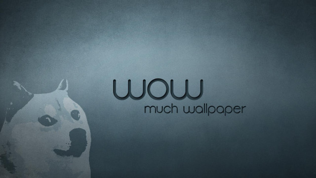 Dog standing wall wow looking free wallpaper - medium preview image