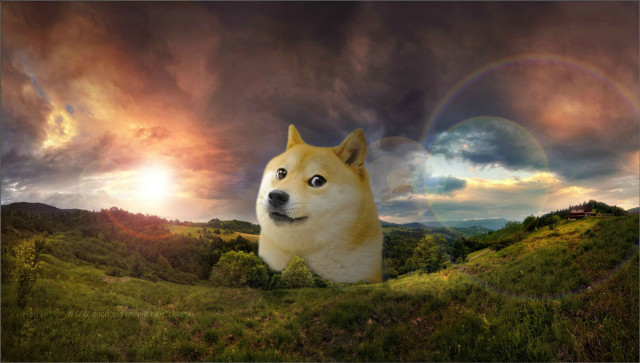 Dog field rainbow cloudy sky free wallpaper - medium preview image